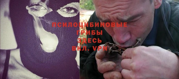 дмт Кукмор
