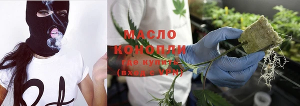 стаф Кулебаки