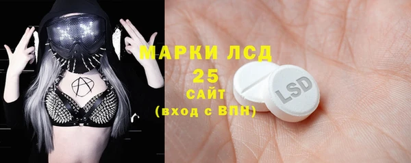 стаф Кулебаки