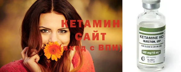 стаф Кулебаки