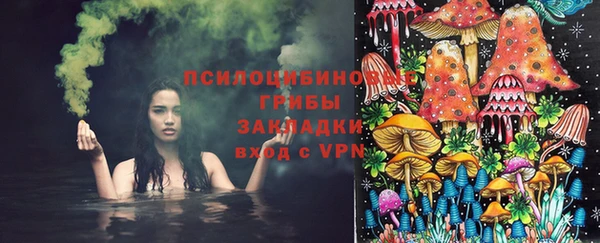 стаф Кулебаки