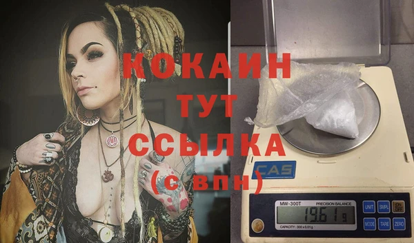 СК Куйбышев