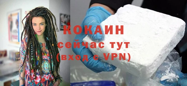 стаф Кулебаки
